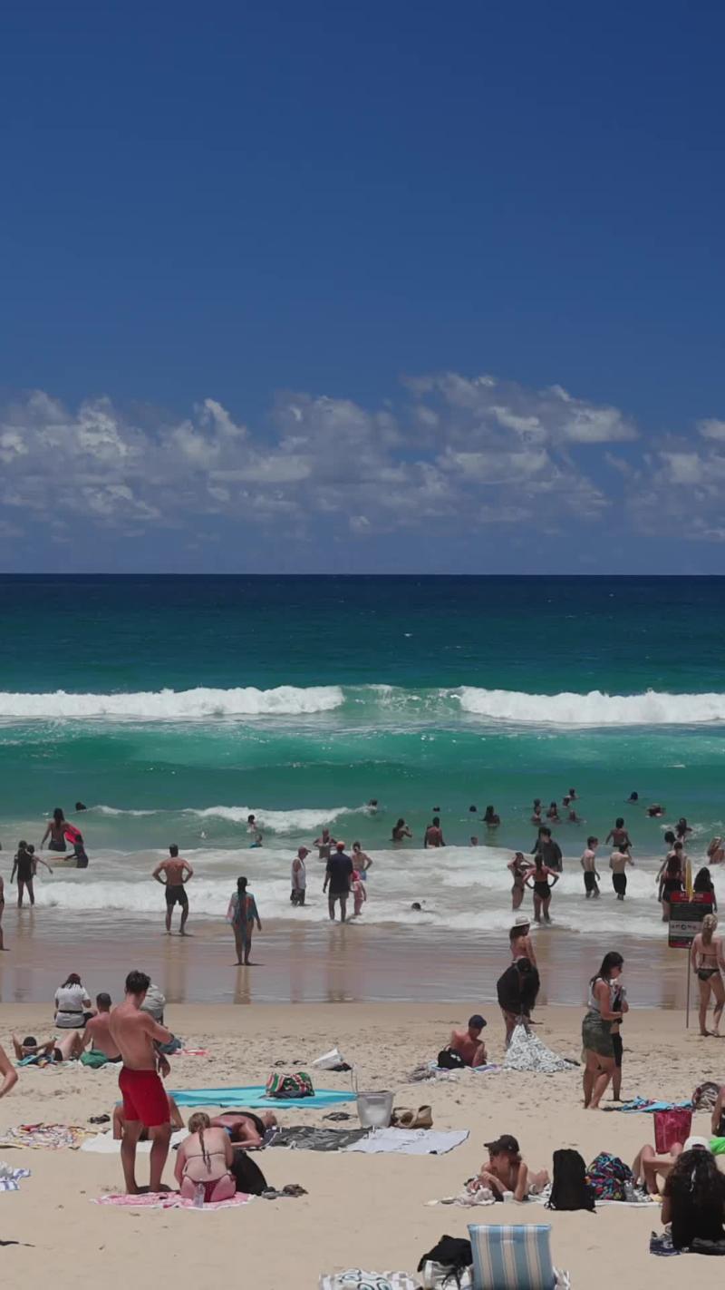 Classic Beach Day, Surfers Paradise (Gold Coast stock video)