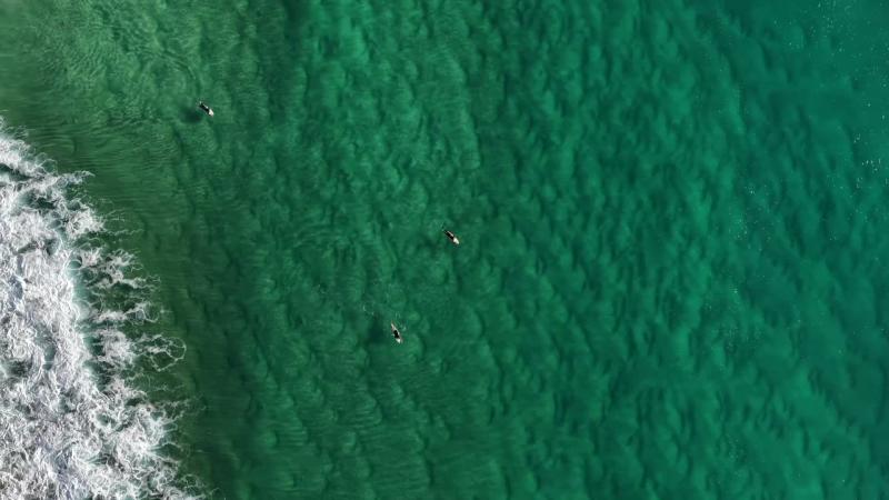 Emerald Paddle, Palm Beach (Gold Coast stock video)