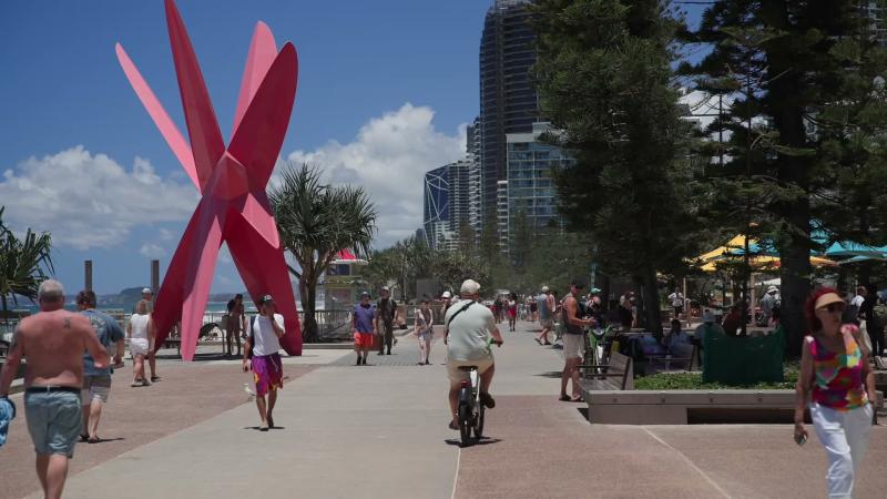 Under the Norfolk Pines, Surfers Paradise (Gold Coast stock video)