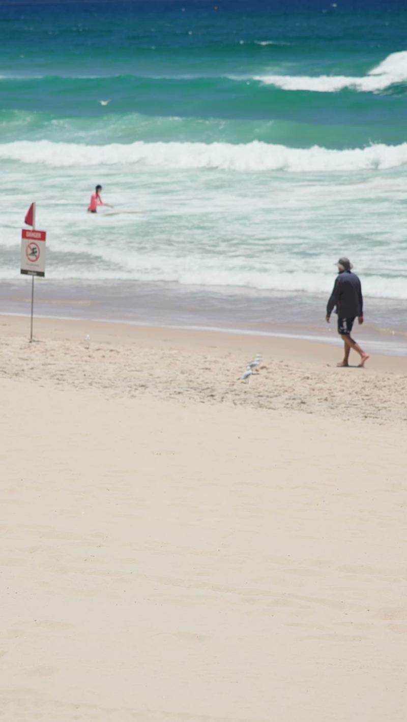 Gulls on the Shoreline, Surfers Paradise (Gold Coast stock video)