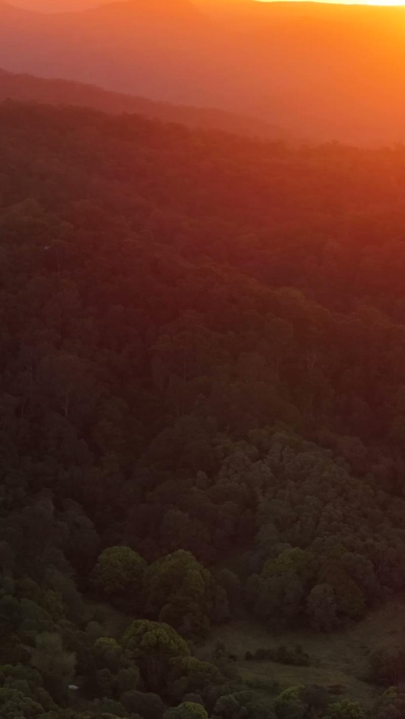 Valley on Fire, Tallebudgera Valley (Gold Coast stock video)